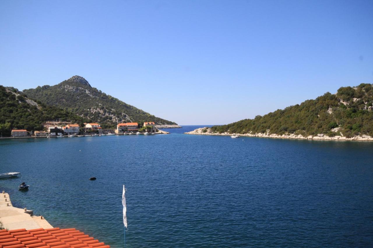 Appartement By The Sea Zaklopatica, - 8342